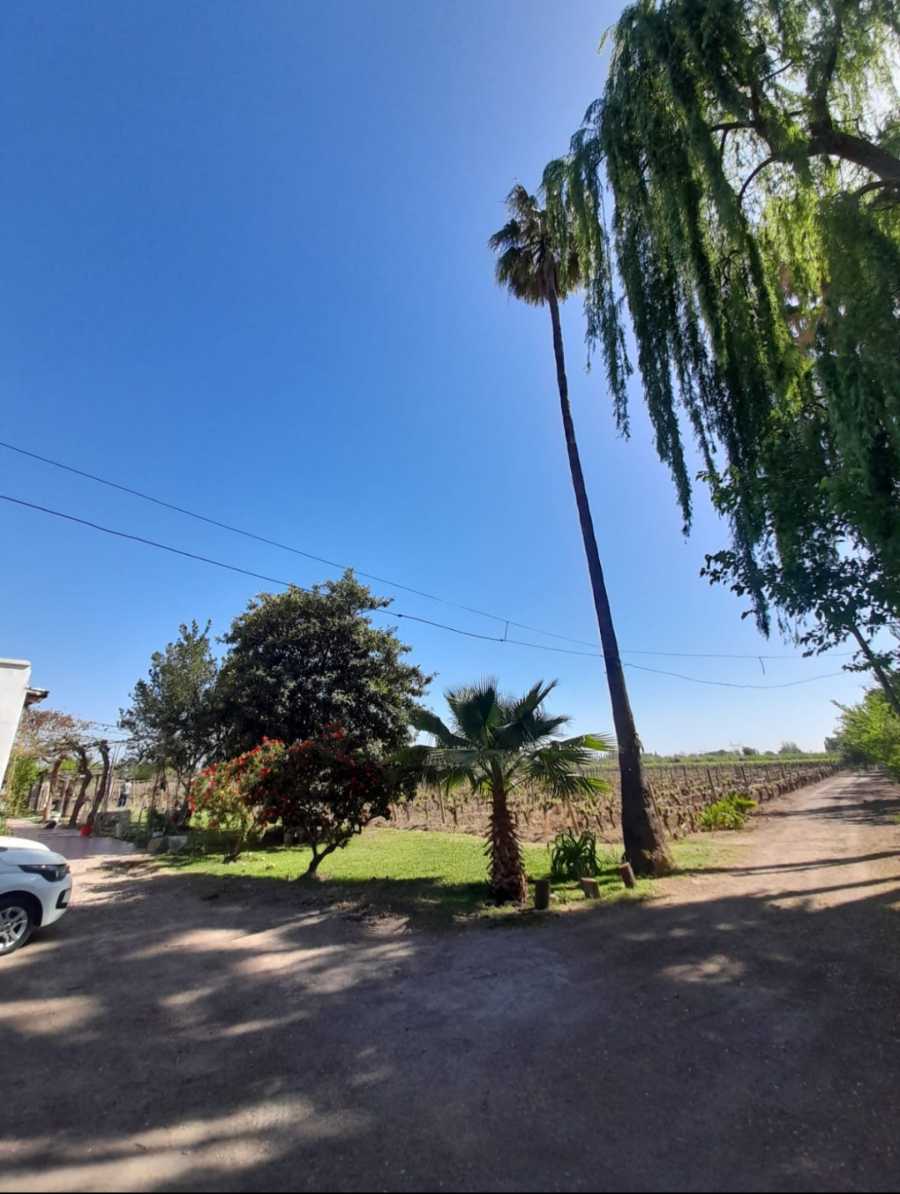 Campo  Rodeo de la Cruz - Imagen