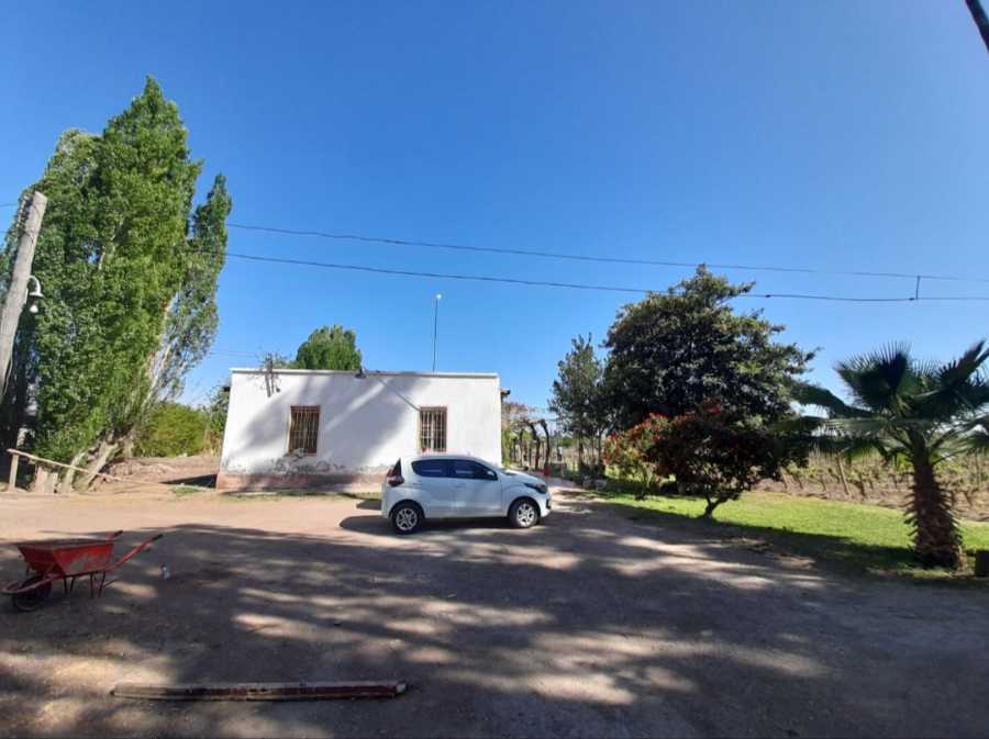 Campo  Rodeo de la Cruz - Imagen