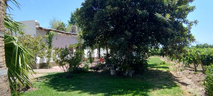 En Rodeo de la Cruz, Campo en Venta · dueño directo · 4 ha - Imagen 1