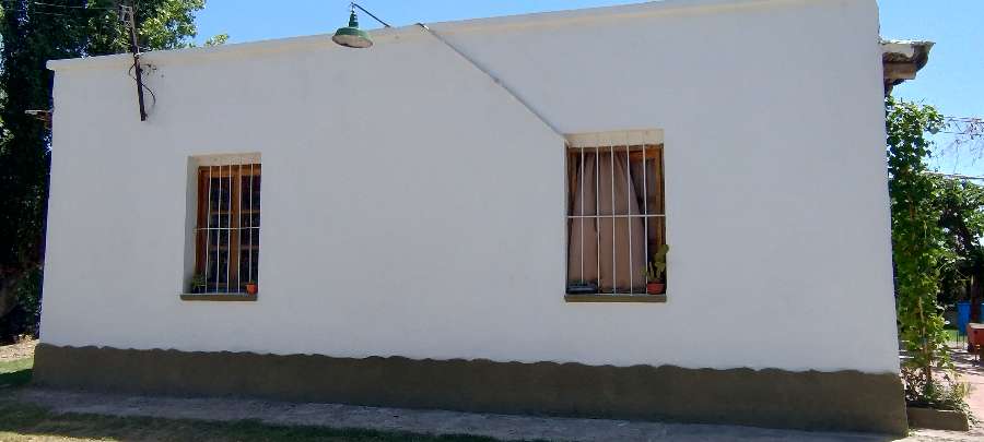 Campo  Rodeo de la Cruz - Imagen