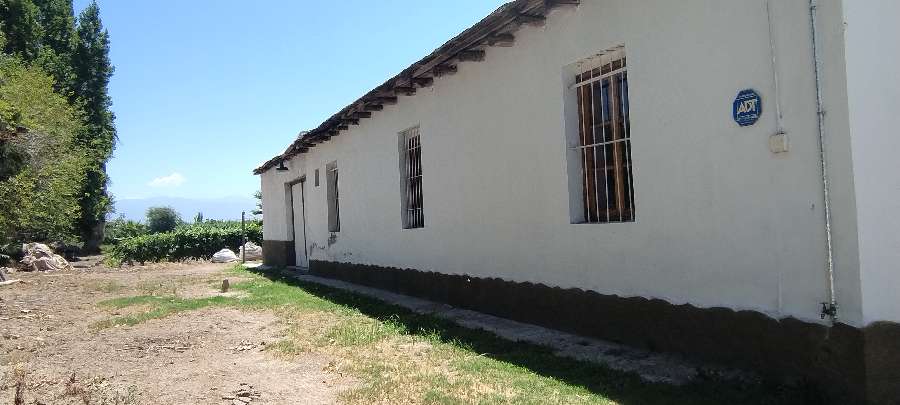 Campo  Rodeo de la Cruz - Imagen