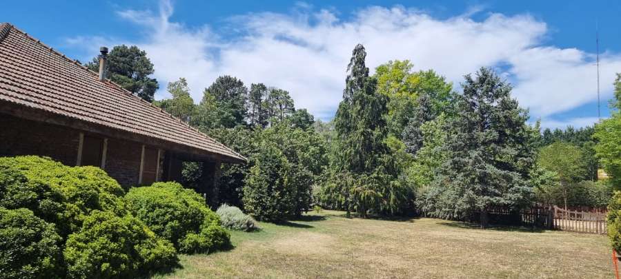 Casa única en Coronel Pringles en Venta · dueño directo · 4 o más dorm · 2 cocheras · 115.000 m² de lote - Imagen 5