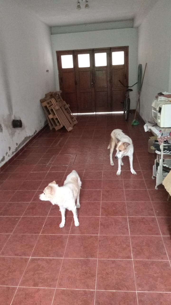 Casa en Venta Gdor D´amico 2100, El Palomar - Imagen 4