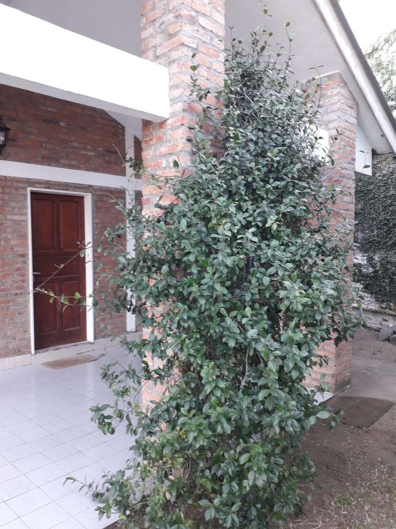 Casa Santa Rosa de Calamuchita - Imagen