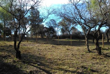 Terreno en Villa General Belgrano: en Venta · 1.818 m² de lote · dueño directo - Imagen 4