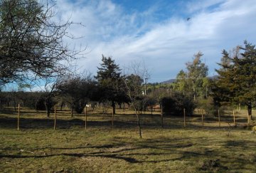 Terreno en Villa General Belgrano: en Venta · 1.818 m² de lote · dueño directo - Imagen 5