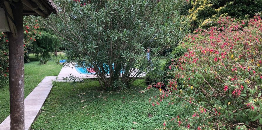 Casa Quinta  Luján - Imagen