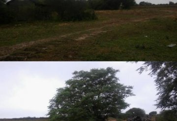 Campo en Santiago del Estero para en Venta · dueño directo · 652 ha - Imagen 4
