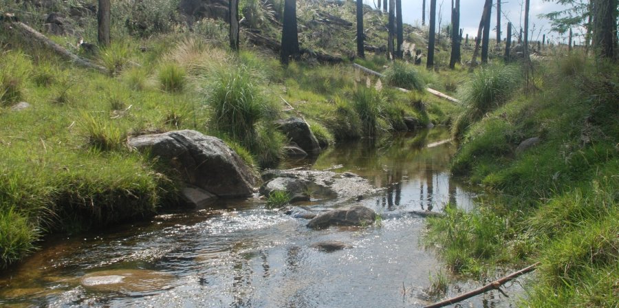 Terreno  Santa Rosa de Calamuchita - Imagen