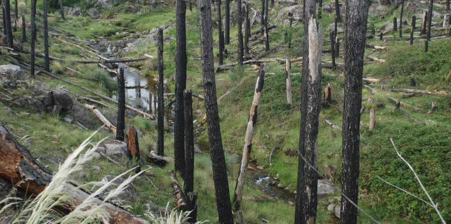Terreno  Santa Rosa de Calamuchita - Imagen