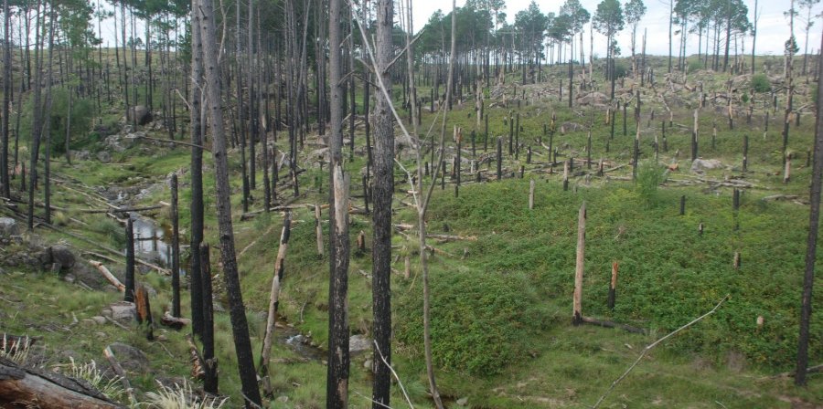 Terreno  Santa Rosa de Calamuchita - Imagen