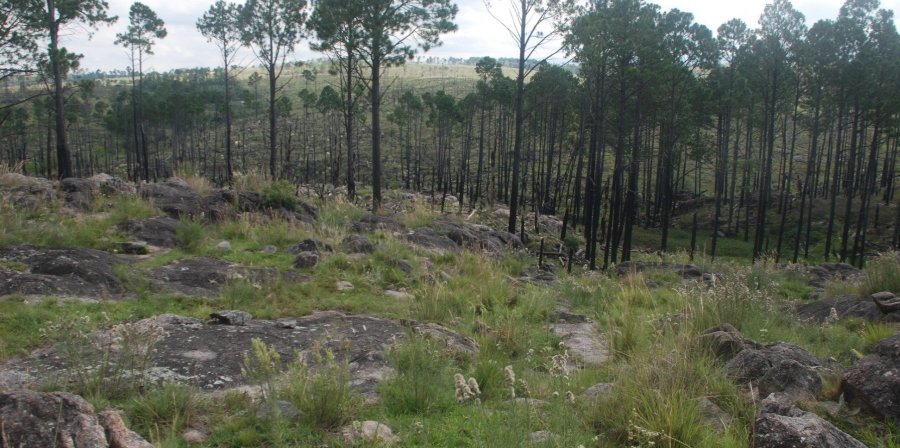 Terreno  Santa Rosa de Calamuchita - Imagen