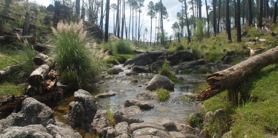 Terreno  Santa Rosa de Calamuchita - Imagen