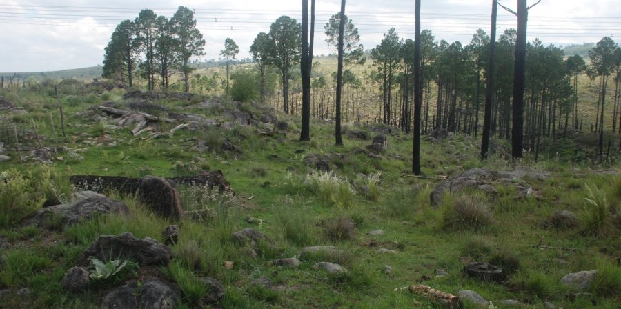 Terreno  Santa Rosa de Calamuchita - Imagen