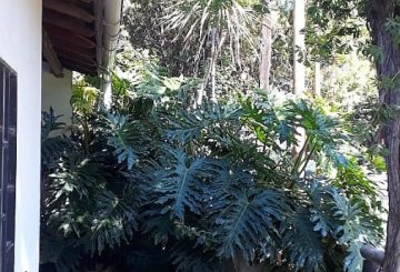 En Gualeguaychú, Casa en Venta · dueño directo · 3 dorm · 387 m² de lote - Imagen 4