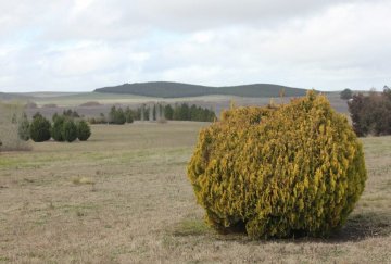 Terreno en Tandil en Venta · 1.818 m² de lote · dueño directo - Imagen 2
