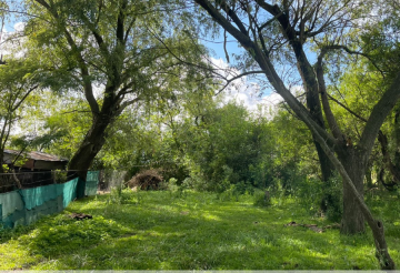 Campo disponible para la en Venta en Canuelas · 248 ha - Imagen 5