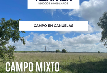 Campo mixto en cañuelas  hectáreas sobre ruta  km  - Canuelas - Imagen 1