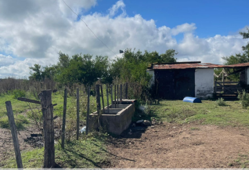 Campo en Venta Ruta 3 Km 72, Canuelas - Imagen 7