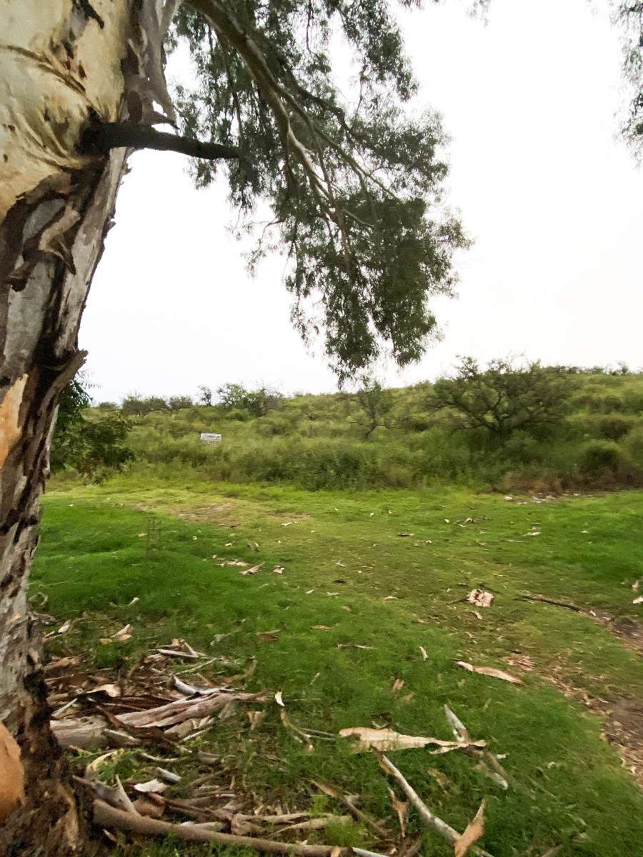 Terreno  Río Cuarto - Imagen