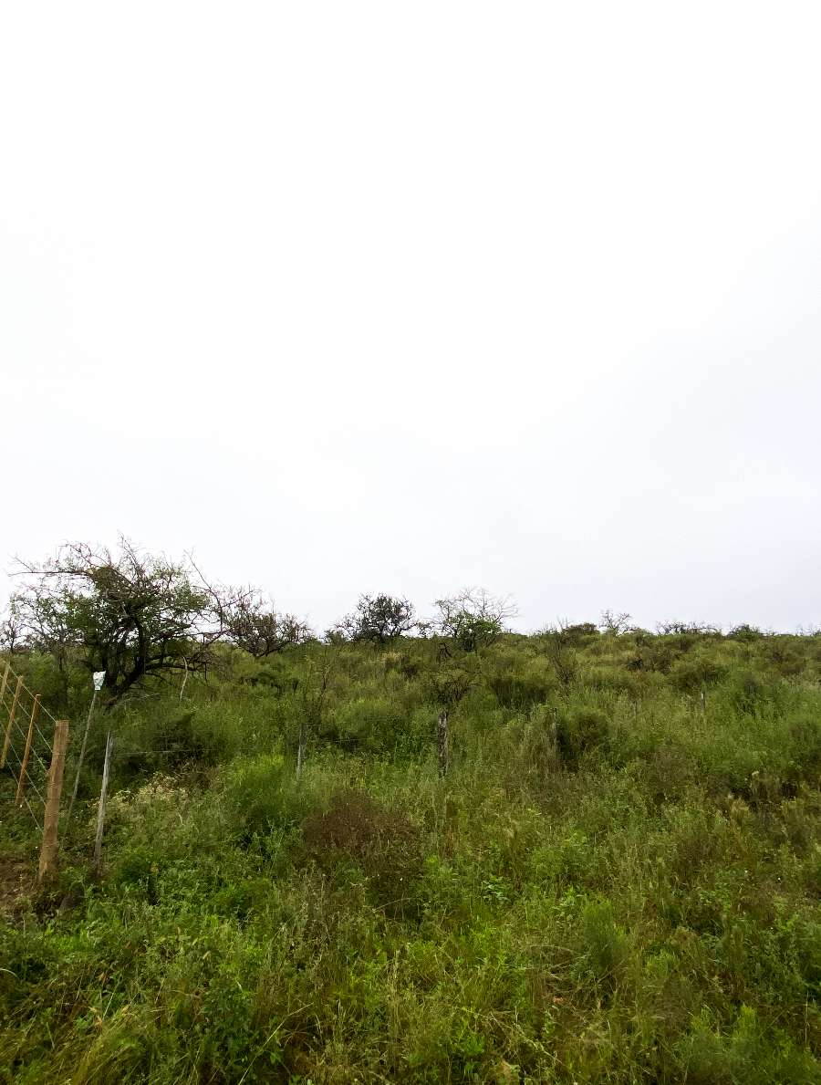 Terreno  Río Cuarto - Imagen