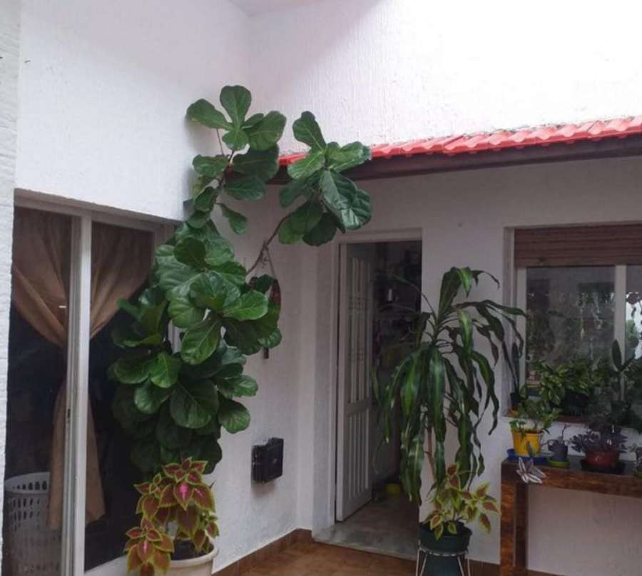 Casa Liniers - Imagen