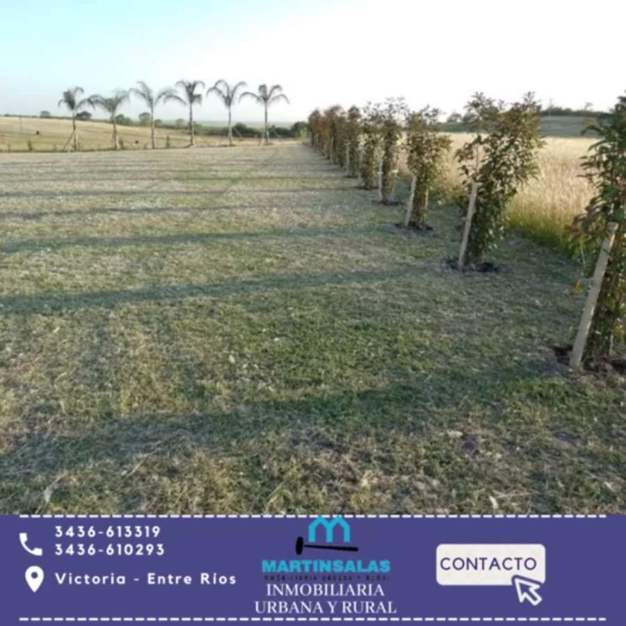 Terreno en Venta Los Algarrobos De Victoria, Victoria - Imagen 8