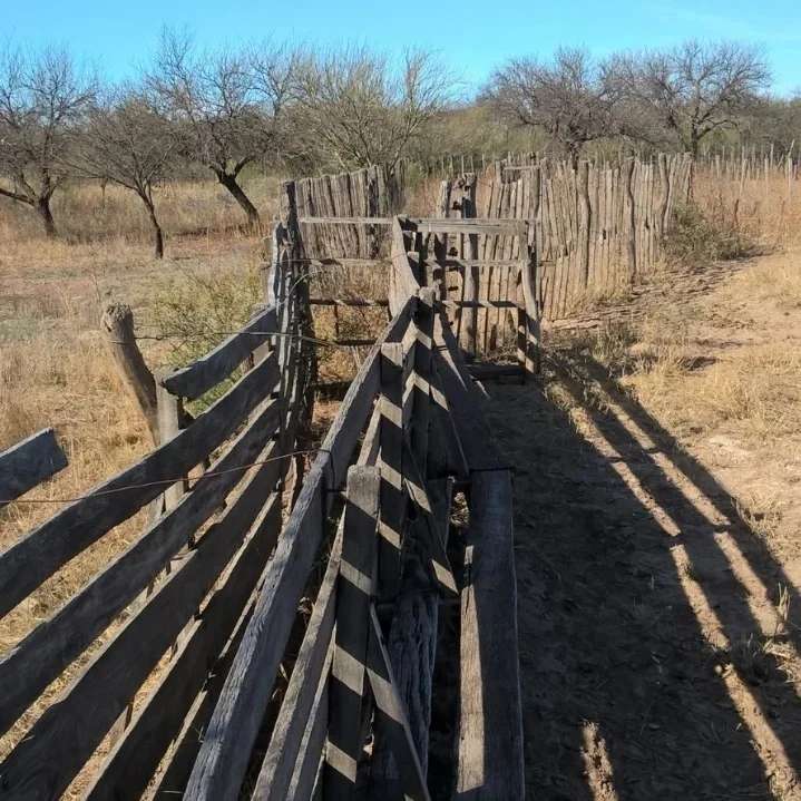 Oportunidad: Campo en Venta en San Luis · 2.452.550 ha - Imagen 5