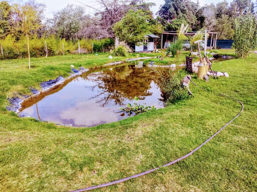 Casa Río Cuarto - Imagen