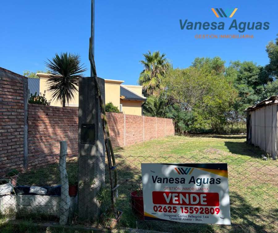 Lote en Venta Calle Sarmiento, Bowen, General Alvear - Imagen 2