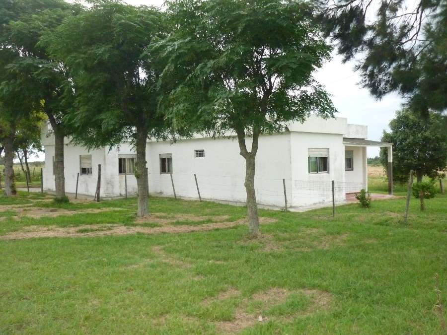 Campo  Hernandez - Imagen