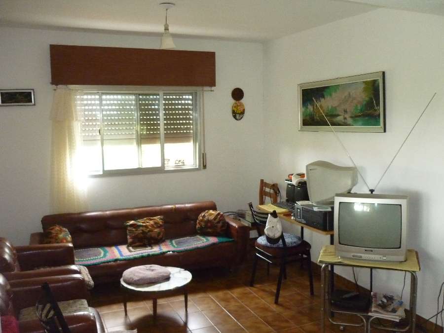 Campo  Hernandez - Imagen