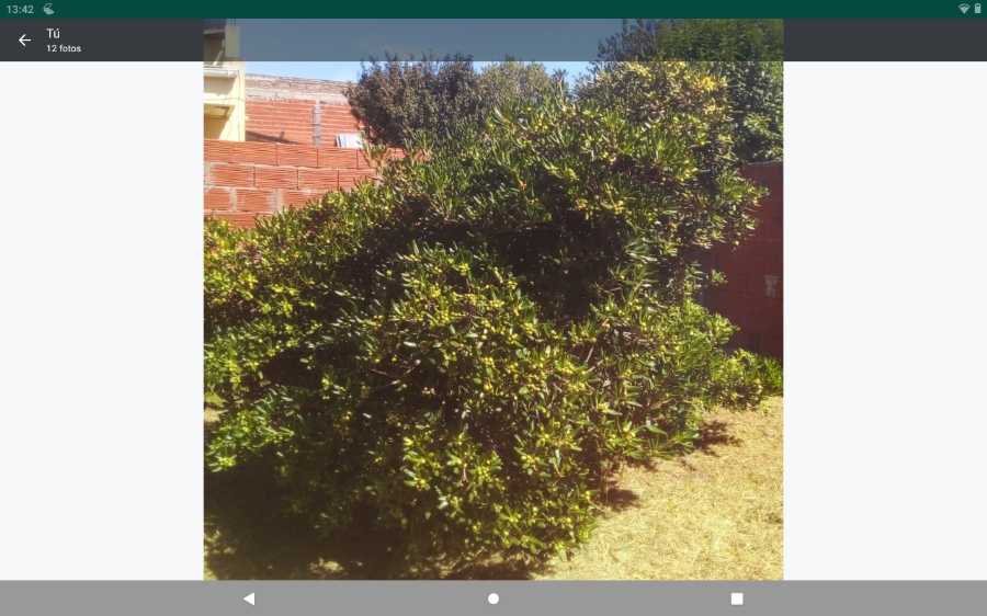 Casa La Plata - Imagen