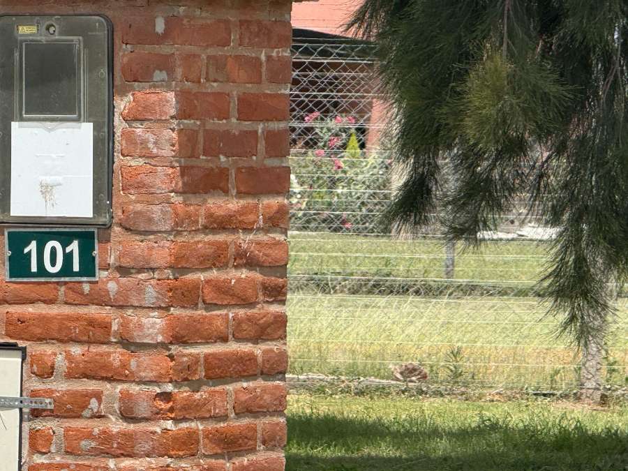 Terreno  Pilar - Imagen