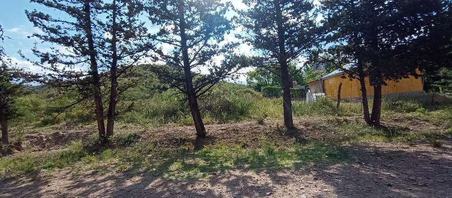 Terreno  Tunuyan - Imagen