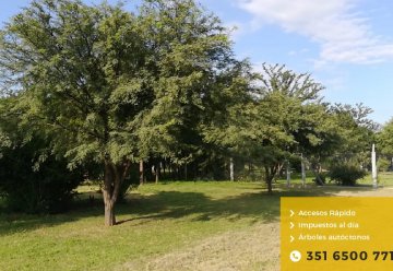 Terreno en Venta en Córdoba, · frente 38 m · largo 48 m · 1.638 m² de lote · dueño directo - Imagen 3