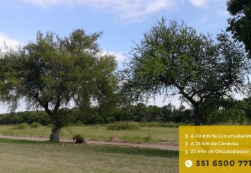 Terreno en Venta en Córdoba, · frente 38 m · largo 48 m · 1.638 m² de lote · dueño directo - Imagen 4