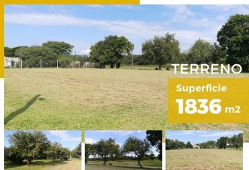 Terreno en Venta en Córdoba, · frente 38 m · largo 48 m · 1.638 m² de lote · dueño directo - Imagen 2