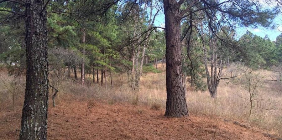 Terreno  Santa Maria - Imagen