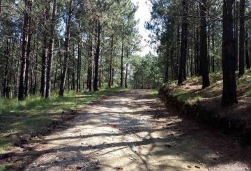 Terreno disponible en Santa Maria · barrio privado · dueño directo - Imagen 3