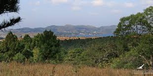 Terreno  Santa Maria - Imagen