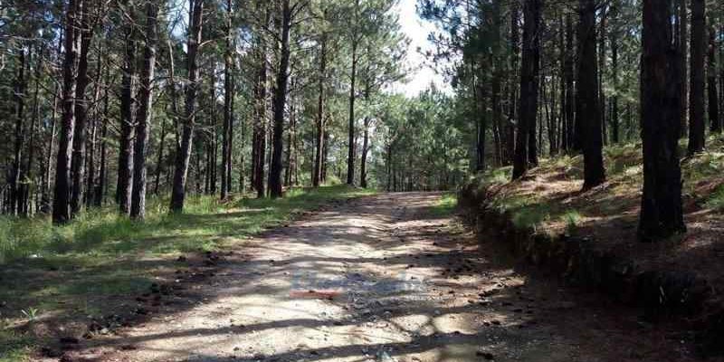 Terreno  Santa Maria - Imagen