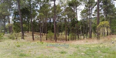 Terreno  Santa Maria - Imagen