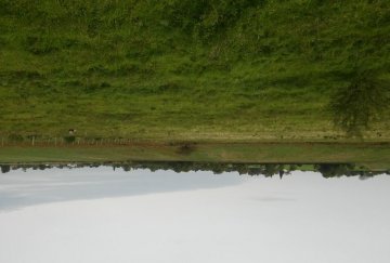 Terreno en Venta en Diamante · frente 168,5 m · largo 2.385 m · 40.000 m² de lote · barrio privado - Imagen 2