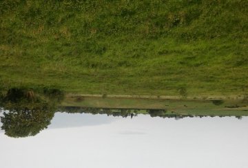 Terreno en Venta en Diamante · frente 168,5 m · largo 2.385 m · 40.000 m² de lote · barrio privado - Imagen 4