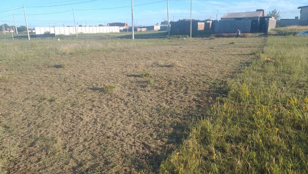 Psj. Eliana Alcaraz, 