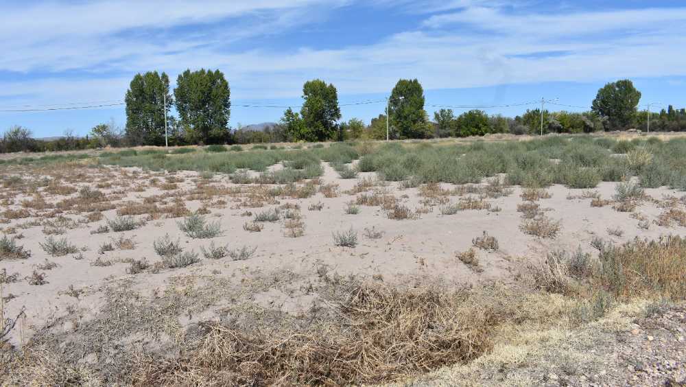 Terreno  San Rafael - Imagen