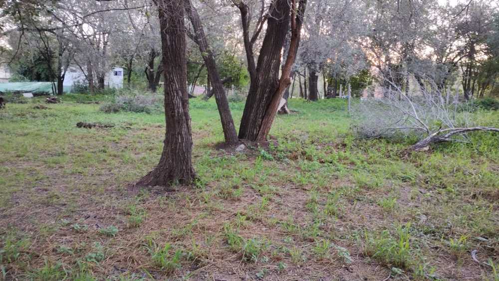 Terreno único en Villa Allende en Venta · frente 20 m · largo 42 m · 851 m² de lote · dueño directo - Imagen 3