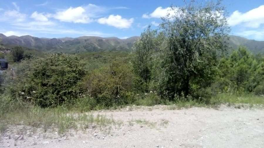 Santa Teresa y Santo Domingo, 