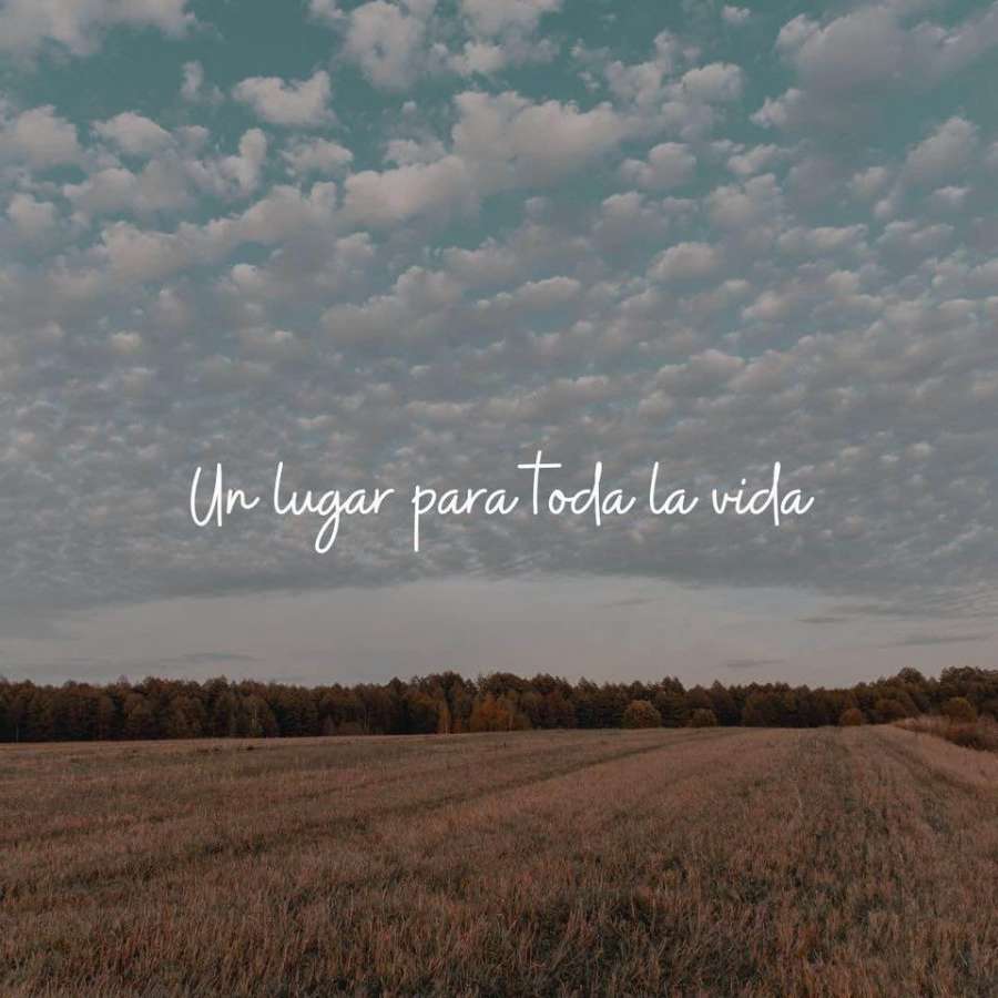 Lote en Venta Lavalle Norte , Río Cuarto - Imagen 6